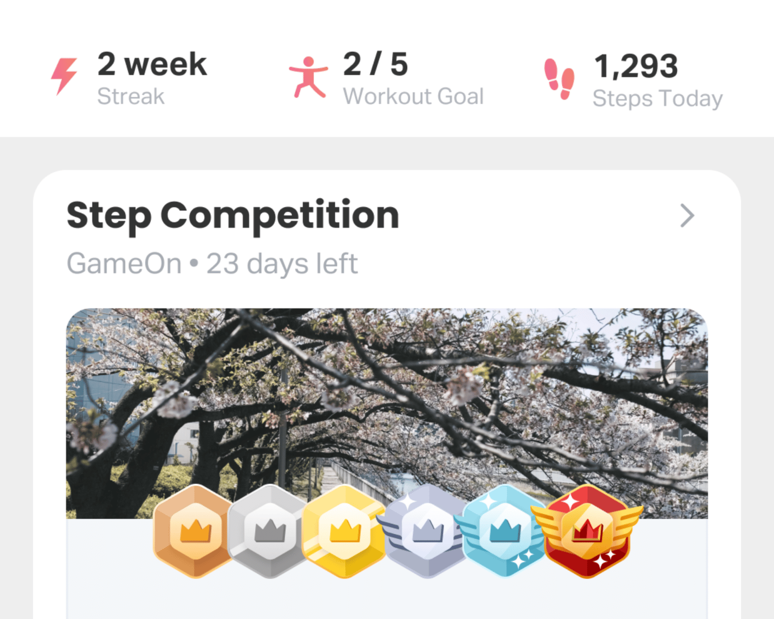 Senior-Features-step-competition