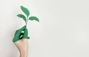 hand holding a plant to show growth